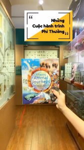 Sách Amazing Animal Journeys (bìa cứng) - Những chuyến di cư và hành trình phi thường nhất - Đinh Tị