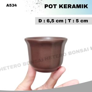 Pot Bonsai Tanaman Hias Keramik Small mini Shito