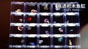 ตู้ปลาขนาดเล็ก ตู้ปลาหางนกยูง ตู้ปลากัด ตู้ปลาเลโก้ ขนาด 12x10x8cm. โหลปลากัด โหลปลา