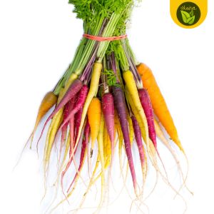 carrot variety seeds for planting binhi pantanim fruit outdoor pot plant