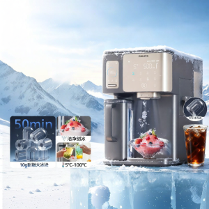 [China Plug Without Adapter] Philips | Instant Heating Ice-making Water Purifier