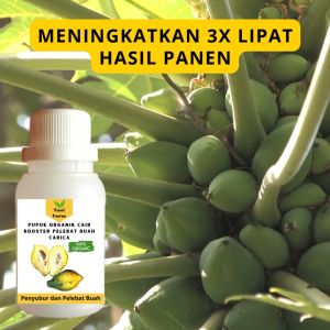 Pupuk Carica Cepat Berbuah / Pupuk Pelebat Buah Carica / Pupuk Booster Carica Cair