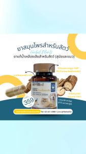 ยาบรรเทาอาการน้ำเหลืองเสีย สำหรับสัตว์(สุนัขและแมว) HERBAVET by BANGKOKTIP OSOD