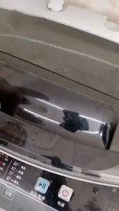 Kantong Filter Mesin Cuci Saringan Laundry Alat Penyaring Kotoran Rambut Bulu Pakaian - HOMIA