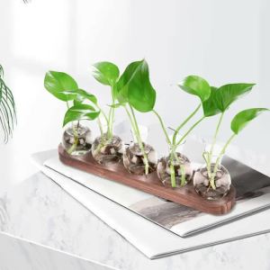 Lọ Hoa Thủy Canh Hiện Đại Bằng Kính Có Khay Gỗ Trạm Ươm Cây Thủy Canh Vật Trang Trí Để Bàn Trong Nhà Lọ Hoa Trung Tâm Trong Suốt