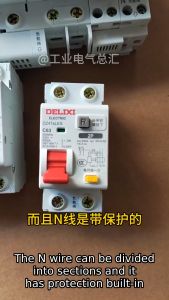 [ Philippines Stock ] DELIXI DZ47sLE RCBO RCD Circuit Breaker 2P 6A 10A 16A 20A 25A 32A 40A 50A 63A 100A 125A