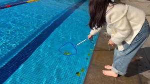 Swimming Pool Net Leaf Rake Mesh Skimmer with Telescopic Pole for Pools Spas Lightweight cleaning tools for swimming pool