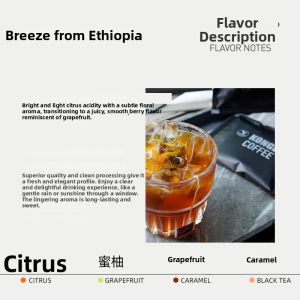 KONGBUS COFFEE | Yirgacheffe Ethiopian Cold Brew Coffee Powder 20 Cups