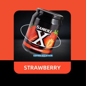 Sameili X Air Freshener / Parfum Mobil / Rumah / Lemari / WC / Ruangan / Parfume Toilet 220g