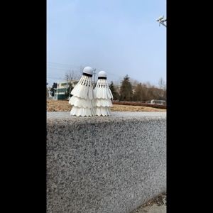 Olyhealth Badminton Shuttlecocks Sports Fitness Feather Shuttlecock Set 3/6/12pcs