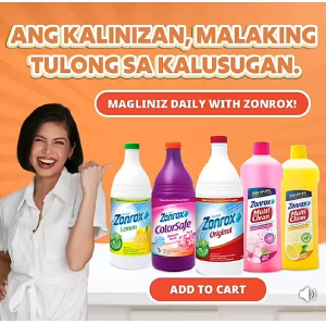 Zonrox Bleach - Powerful Cleaning