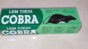 LEM TIKUS COBRA PERANGKAP TIKUS AMPUH SUPER LENGKET Kobra Lem Kuat Paling Ampuh mengatasi Tikus dan kecoa