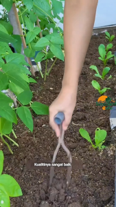 Soil Loosener Fork Garden Garpu Pelonggar Tanah Tanaman Kebun 松土叉