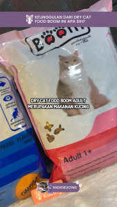 Dry Food BOOM Adult 800g Cat Food Makanan Kering Kucing Dewasa Semua Varian [JUWIES RADIOKUCING]