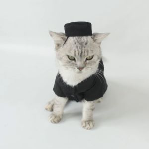 Baju Kucing Cowok Cewek Murah Lucu Koko Lebaran - Kaifa Koko Shirt 2025