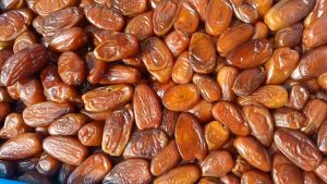 KURMA TUNISIA MADU 5 KG / KURMA TUNIS / KURMA MADU DUS 5 KG / BAYAR DITEMPAT