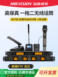 HiKVision Wireless Microphone Headset UHF Handheld One to Two Conference Special KTV Microphone with Battery Windscreen Power Supply