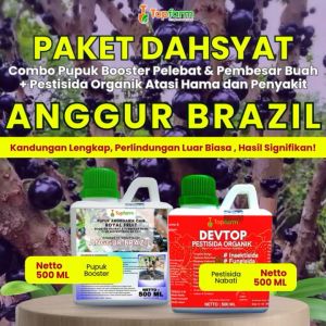 Pupuk Topfarm & Pestisida: Solusi Pupuk Booster Anggur Brazil & Obat Hama Ulat Tanaman Anggur