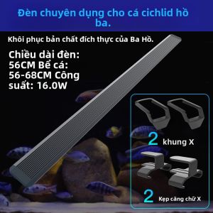 Đèn LED Chống Nước Tăng Màu Xanh Cho Cá Cảnh Hổ Cá