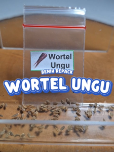 Benih Wortel Ungu Unggulan Berkualitas