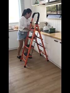 Folding Carbon Steel Step Ladder