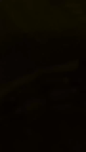 Sein sen rx king set mika detail original ymh rxking 4 pcs