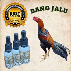 TETES Obat doping ayam bangkok aduan petarung super ganas