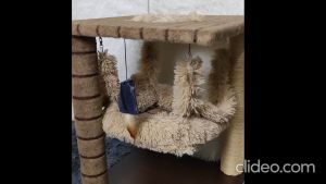 Buenas Cat Craft Carpet Cat Tree: A High-Quality Wood-Crafted Hammock Cat Tree