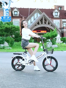Portable Super Lightweight Mini Bicycle New Folding Bicycle College Studen Adult  Male and Female Student Disc Brake Geared Foldable Bicycle