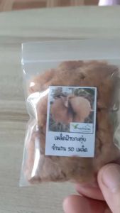 50 เมล็ด ฝ้ายสีกะตุ่ย เมล็ดฝ้ายกะตุ่ย ฝ้ายตุ่น ฝ้าย เมล็ดฝ้ายตุ่น ฝ้ายตะหลุง เมล็ดฝ้ายตะหลุง ฝ้ายตากฟ้า เมล็ดฝ้ายตุ่ย เมล็ดฝ้าย ฝ้ายกะ