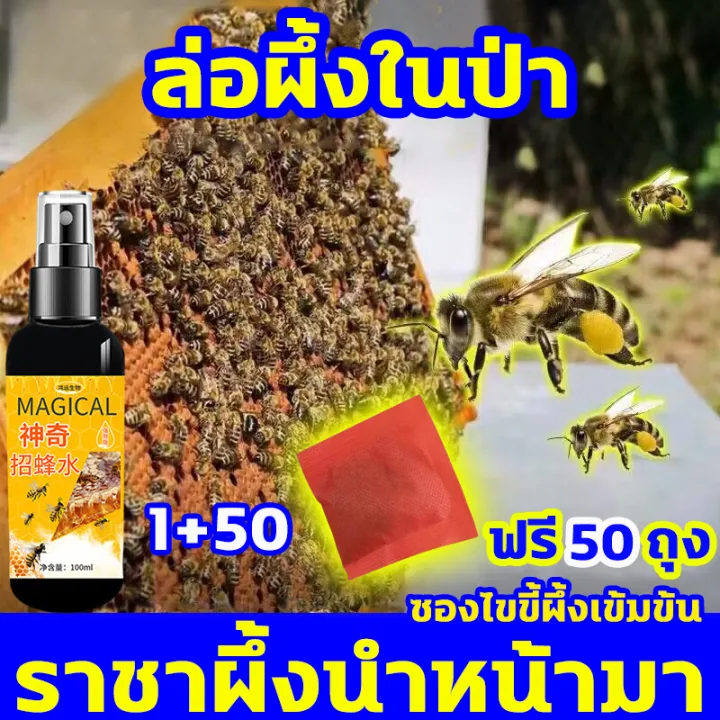 หัวเชื้อฟีโรโมนล่อผึ้ง สูตรเข้มข้น ดึงดูดผึ้งได้จำนวนมาก