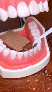 **BEST SELLING** 2025 NEW 1 Set Of 50-Pack Mini Portable Dental Floss Storage Box With Automatic Thread Toothpicks 1 Set Kotak Penyimpanan Flos Pergigian Mini Mudah Alih 50 Pek Dengan Pencungkil Gigi Benang Automatik 牙线棒套装