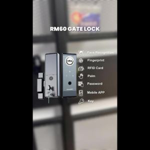 {SG60 Edition} Include Installation -SINGGATE- <RM60> Metal Gate Digital Rim Lock (2 Years Warranty)