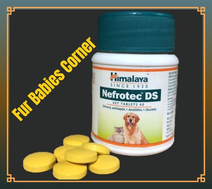 Himalaya Nefrotec DS Urinary Antiseptic, Antilithic and Diuretic