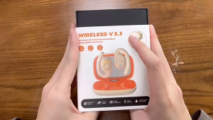 TERA Wireless 5.3 Bluetooth Earphone