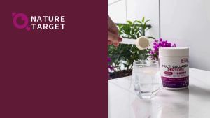 NATURE TARGET Multi Collagen Peptides Powder  (35 Servings) - Type I II III V X Hydrolyzed Collagen Peptides with Vitamin C Hyaluronic Acid