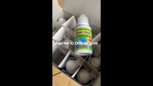 GERM FREE 30 ml Obat Bakteri Jamur White Spot Lchthyopthirius Multifilis Ikan