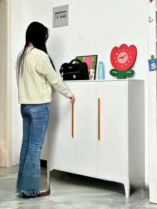 Steel Shoe Cabinet European Style Shoe Cabinet Shoe Rack