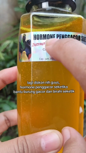 Paket Grosir 6 Pcs Hormone Penggacor Seketika 250ml Gacor Instant Dongkrak Performa  Burung Kicau