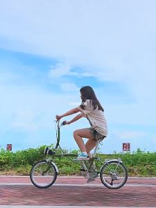 CRANSTON | Xe Đạp Gập Người Lớn 16in