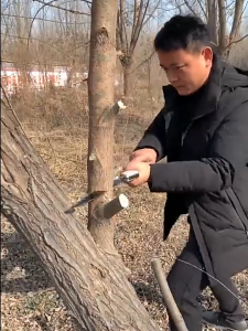 Household small handheld folding saw suitable for gardening outdoor hand saw wood saw