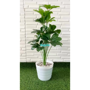 Pohon Hias Tanaman Artificial Daun Walisongo X12 Semilatex Pot Ulir Dekorasi Studio Pajangan Apartemen
