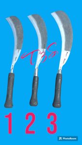 Golok Tebang Tebu Alat Panen Tebu