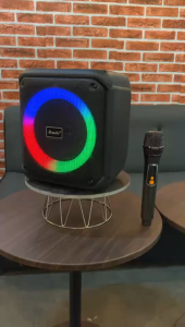 Speaker BTS-1935 Brodu 6.5 Inch Bluetooth Speaker with 1 Rechargeable Wireless Microphone