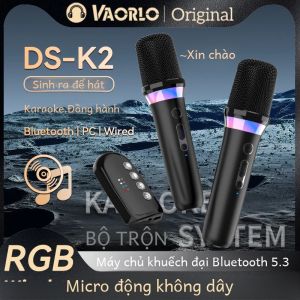 Hệ Thống Micro Karaoke Không Dây Bluetooth 5.3 DSP Mixer Có Đèn RGB Bộ Khuếch Đại Aux 35 Mm Micrô Động Cầm Tay Kép Để Sử Dụng Tại Nhà