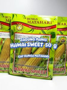Benih Jagung Manis Hawai Sweet 50 gram Cap Bunga Matahari dataran menengah - tinggi unggul bibit biji swet swit corn hydroponik hidroponik