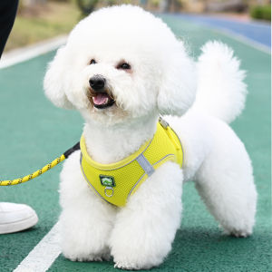 PAMPAS | Vest Style Small Dog Leash