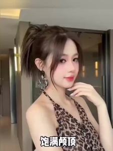 XIAOQI | High Crown Volume Bun Hairstyle Fake Hair