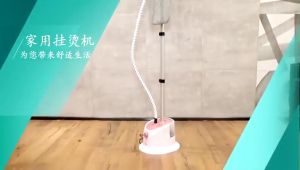 Garment Steamer Iron 2000W Portable Garment Steamer Stainless Steel Nozzle Steam Iron Stand