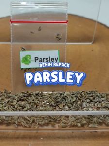Benih Daun Parsley Unggulan peterseli berkualitas biji bibit hydroponik hidroponik sayuran tanaman sayur herbal